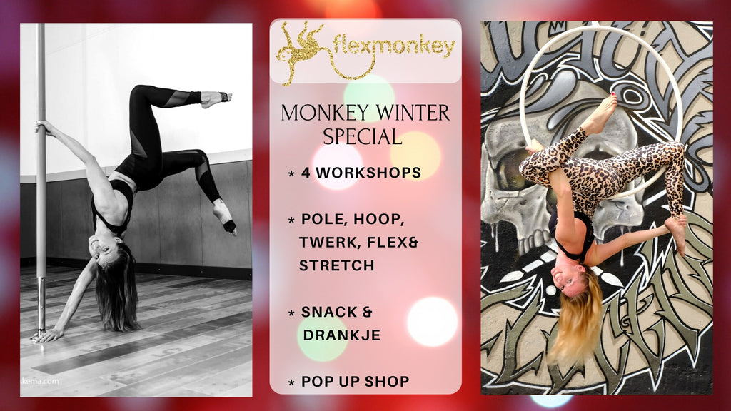 Ein Tag voller Workshops: das Flexmonkey Winter Special.