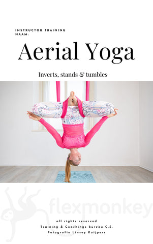 Formación de instructor de camilla aérea - Parte 1