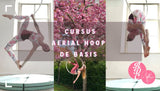 opleiding tot aerial hoop instructor bij Flexmonkey paaldansstudio ADC's zusje in Brabant