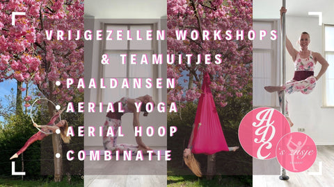 Vrijgezellenfeest workshop of teamuitje paaldansen @ADC's Zusje