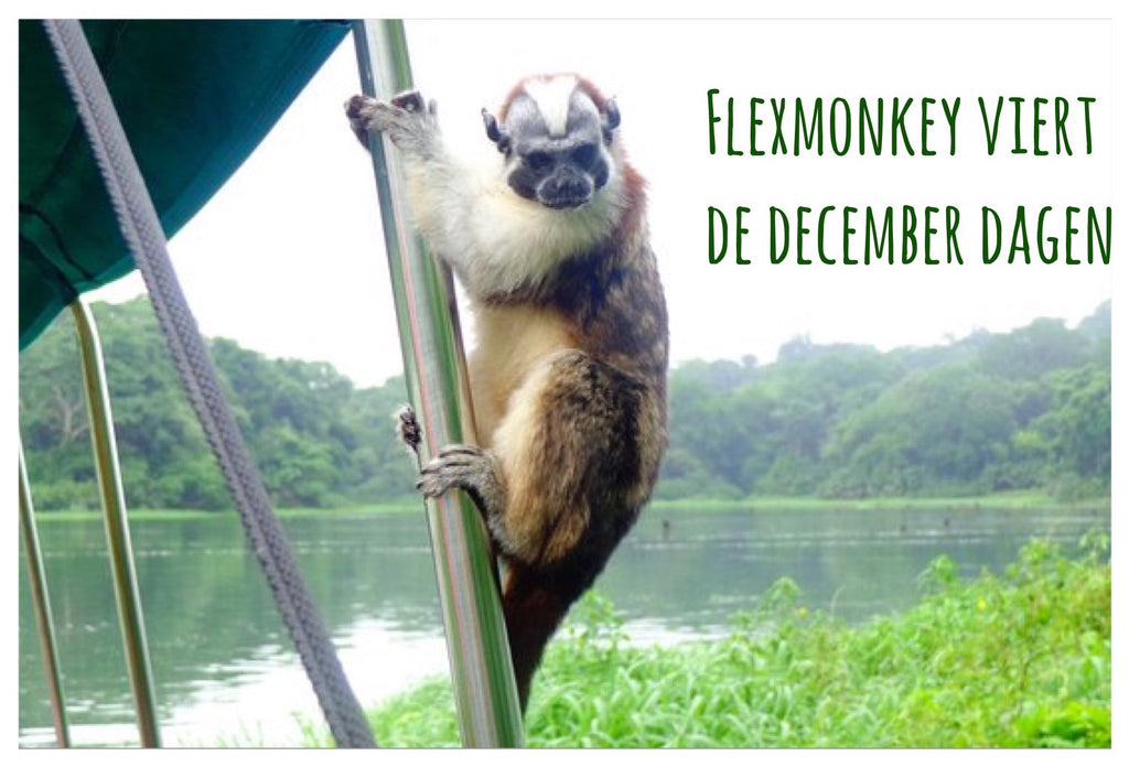 Flexmonkey viert de december dagen met extra tijd voor familie en sport!